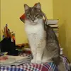 Отзыв от Дарья Орехова